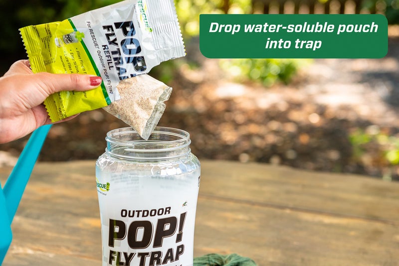 RESCUE! POP! Fly Trap â€“ Large Reusable Fly Trap for Outdoor Use - 3 Pack - Image 4